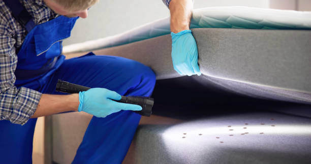 Best Mosquito Control Services  in Enon, OH