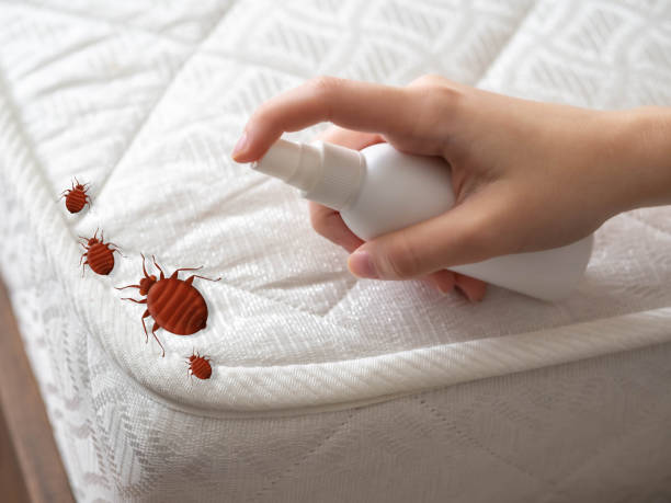 Pest Control for Restaurants in Enon, OH