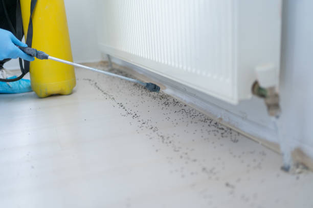 Best Pest Prevention Services  in Enon, OH