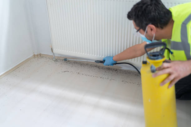 Pest Prevention Services in Enon, OH